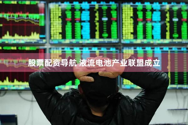 股票配资导航 液流电池产业联盟成立
