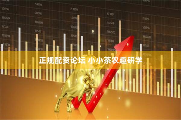 正规配资论坛 小小茶农趣研学