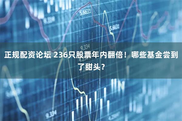 正规配资论坛 236只股票年内翻倍！哪些基金尝到了甜头？
