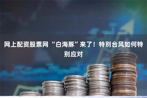 网上配资股票网 “白海豚”来了！特别台风如何特别应对